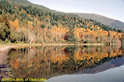 Autumn tints at Deer Lake, Sasquatch Provincial Park, BC, Canada Autumn tints at Deer Lake, Sasquatch Provincial Park, BC, Canada