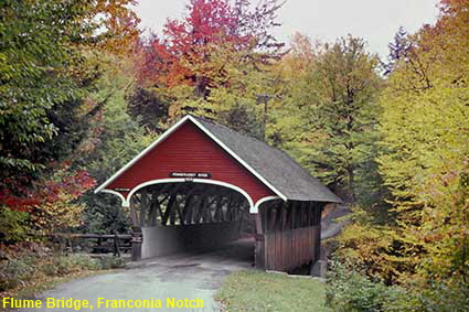 Flume Bridge, Franconia Notch, NH, USA