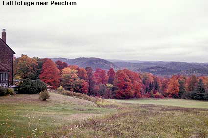 Fall foliage near Peacham, VT, USA Fall foliage near Peacham, VT, USA