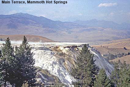 Main Terrace, Mammoth Hot Springs, Yellowstone National Park, WY, USA