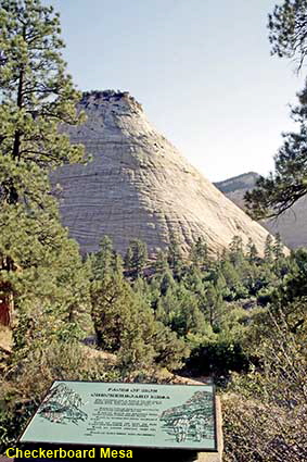  Checkerboard Mesa, Zion National Park, UT, USA
