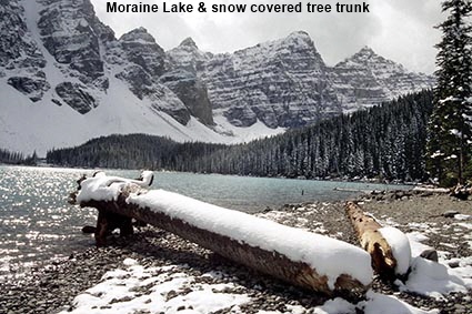 Moraine Lake & snow covered tree trunk, Alberta, Canada Moraine Lake & snow covered tree trunk, Alberta, Canada