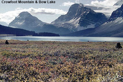 Crowfoot Mountain & Bow Lake, Alberta, Canada Crowfoot Mountain & Bow Lake, Alberta, Canada