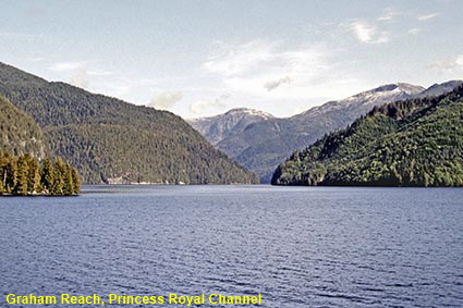 Graham Reach, Princess Royal Channel, Inside Passage from 'Queen of Prince Rupert' ferry, BC, Canada Graham Reach, Princess Royal Channel, Inside Passage from 'Queen of Prince Rupert' ferry, BC, Canada