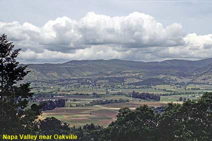 Napa Valley near Oakville, CA, USA Napa Valley near Oakville, CA, USA