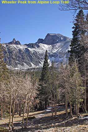  Wheeler Peak from Alpine Loop Trail, Great Basin National Park, NV, USA