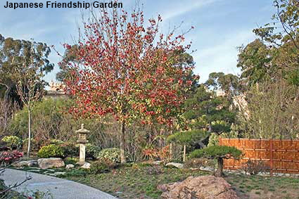  Japanese Friendship Garden, Balboa Park, San Diego, CA, USA
