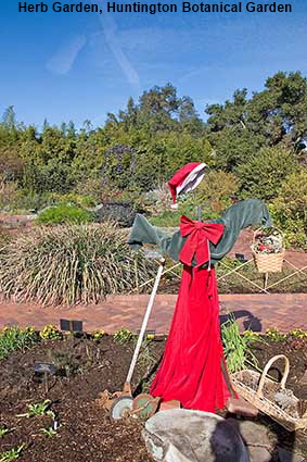  Herb Garden, Huntington Botanical Garden, Los Angeles, CA, USA