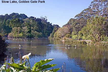  Stow Lake, Golden Gate Park, San Francisco, CA, USA