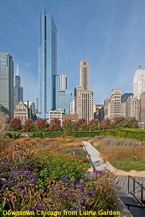 Downtown Chicago from Luirie Garden, Millennium Park, IL, USA Downtown Chicago from Luirie Garden, Millennium Park, IL, USA