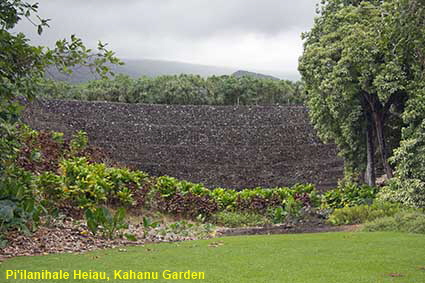 Pi'ilanihale Heiau, Kahanu Garden, Maui, HI, USA Pi'ilanihale Heiau, Kahanu Garden, Maui, HI, USA