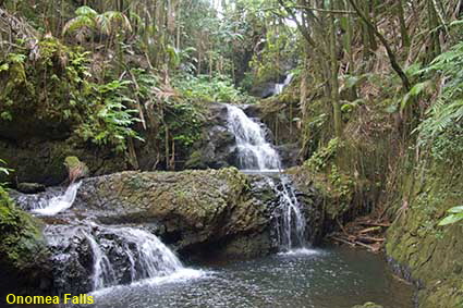  Onomea Falls, Hawaii Tropical Botanical Garden, Hawaii , HI, USA