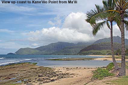  View up coast to kane'ilio Point from Ma'ili, Oahu, HI, USA