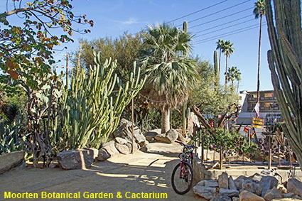 Moorten Botanical Garden & Cactarium, Palm Springs, CA, USA
